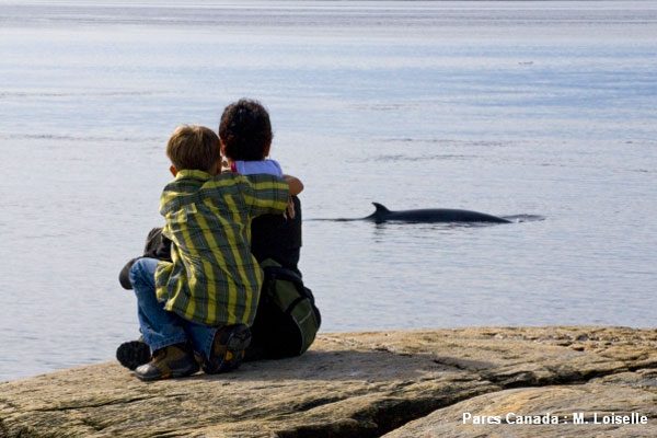 Observation baleines rivage à Tadoussac - Fjord Aventure